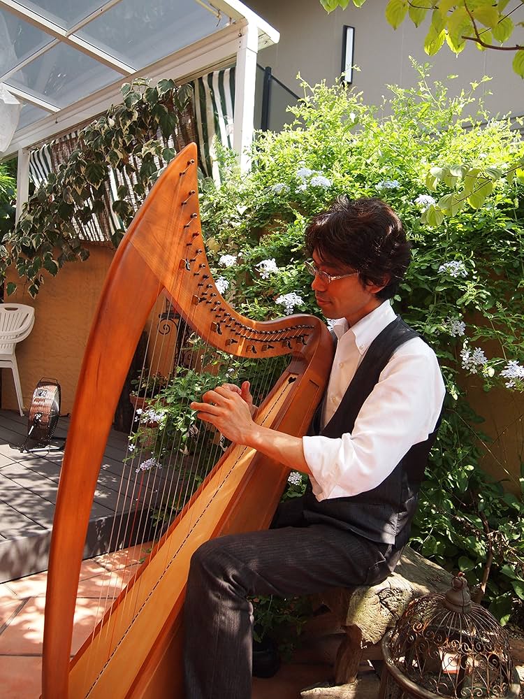 バクタワハープ29弦 rosewood アイリッシュハープ/レバーハープ アイリッシュハープ バクタワハープ 29弦 ローズウッド ハープ